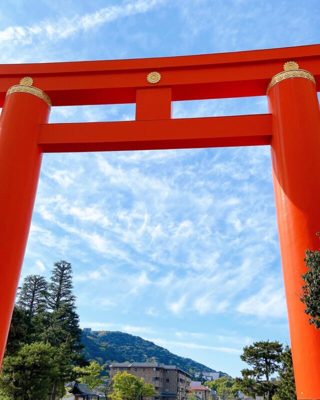 shinmiciel本日定休日です🌈
20日(水)より営業しております

寒暖差の時期体調により気をつけてお過ごしくださいませ〜🔶

#定休日
#京都美容院